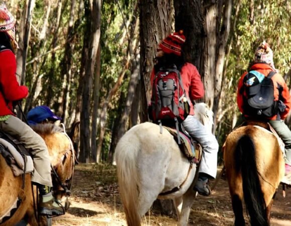 Horse Back Riding Tours