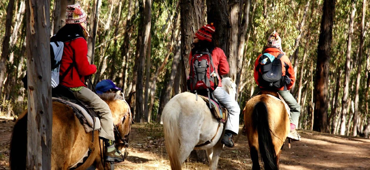 Horse Back Riding Tours
