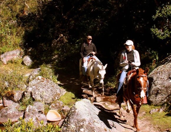 Lares Trek Machu Picchu 4D/3N