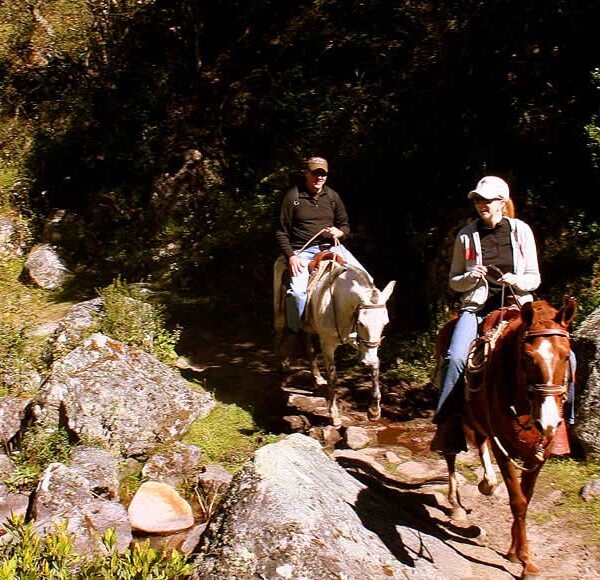 Lares Trek Machu Picchu 4D/3N