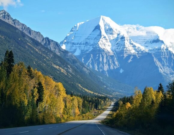 Separated they live in Bookmarksgrove