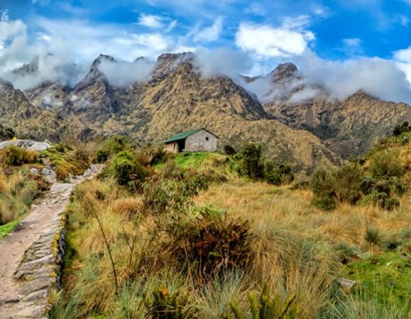 Manu National Park 9D/8N