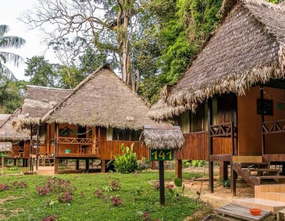 Wild Amazon Tour To Tambopata 5D/4N