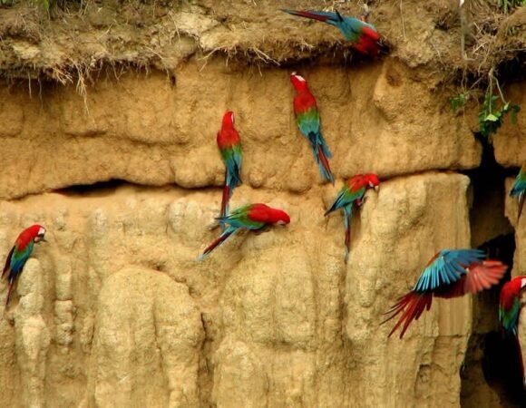 Peru Tours 13D/12N